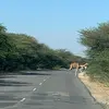 aadeshrjain - @aadeshrjain - TikTok