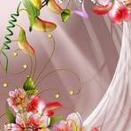 Adfr Asdfr - Facebook