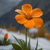 Adi Juarez - Facebook