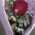 Adi Leon - Facebook