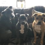 Adi Morris - @adimorris1973 - Instagram