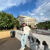 adi_onthestreets - @adi_onthestreets - TikTok