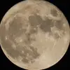 adipadron - @adipadron - TikTok