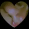 adi palacios - @tiktok.com.adipalacios - TikTok