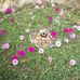 Adi Patel - Facebook