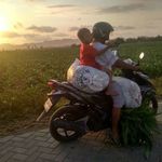 Adi Pranoto - @adipran_oto - Instagram