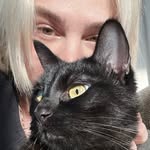 Adi Segal - @adi_segal - Instagram