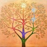 Adi Simcha - @adis_wellness - Instagram