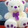 Adina Asim Chaudhary - @adinaasimchaudhar - TikTok