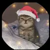 " - @adisolano4 - TikTok
