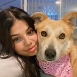 Adi Tal - @_adital - Instagram