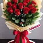 Adi Torres - @torres_adi - Instagram