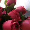user8560462783054 - @adi.valentine - TikTok