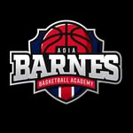 @adiabarnesbasketballacademy - Instagram