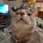Edie Harris - Facebook