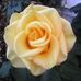 Adia Hernandez - Facebook