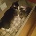 Ada Jackson - Facebook