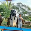 Adiel Chavez - @adielchavez4 - TikTok
