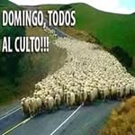 Adiel Chavez Rosario - @rosarioadiel - Instagram