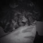 adiel jared herrera león - @adie_lherrera - Instagram