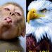 Adik Dijkstra - Facebook