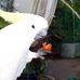 Adik L Dijkstra - Facebook