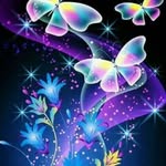 Adil Abdallah - @adil.abdallah.1401 - Instagram