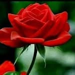Adil Addi - @adiladdi999 - Instagram