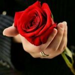adil9433 - @adilalsaadi933 - Instagram