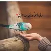 Saba Adil Alsaadi - @aadilalsadi - TikTok