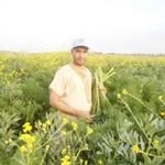 Adil Ben Thami - @benthamiadil - Instagram