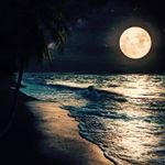 Adil Chaudry - @adil.chaudry.967 - Instagram