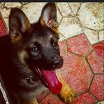 Adil Duran - @adilduran6 - Instagram