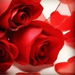 Adil Ebrahimi - @__adil__ebrahimi - Instagram