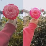 Adil islam - @adilislam824 - Instagram