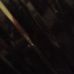 Adil Khalid - Facebook