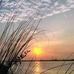 MD ADIL MUMTAZ - @the_adil_diaries - Instagram