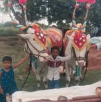 Adil Sheikh - Facebook