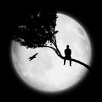 adil.sheikh - @adil__sheikh5455 - Instagram