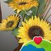 Adina Sutlin - Facebook