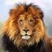 Aditya Damar Wijaya - Facebook