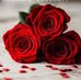 Aditi Roy - Facebook