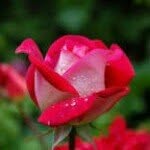 aditi sethi - @artisethi14 - Instagram