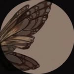 Aditi Sethi - @_moon.light_2512 - Instagram