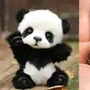 •Aditi• - @.aditi.sethi.23 - TikTok