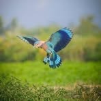 Aditya Jayaraman - Facebook