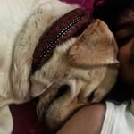 Aditya Krishnan K💤 - @aditya__krishnan_k - Instagram