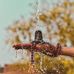 Aditya Mehta - Facebook
