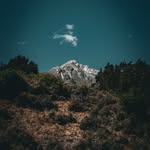 Aditya Nair - @picture.adi - Instagram