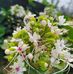 Aditya Pal - Facebook